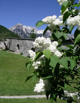 This photo, taken near Salzburg, Austria of a castle courtyard in springtime with the Austrian Alps as backdrop was taken by Rob Krause of Sacile, Italy.